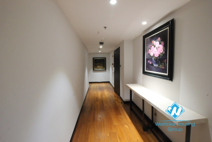 Luxurious and trendy aparment for rent in Hai Ba Trung, Ha Noi